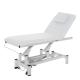 Masážní a kosmetické lehátko WF006 VITAL 1 motor